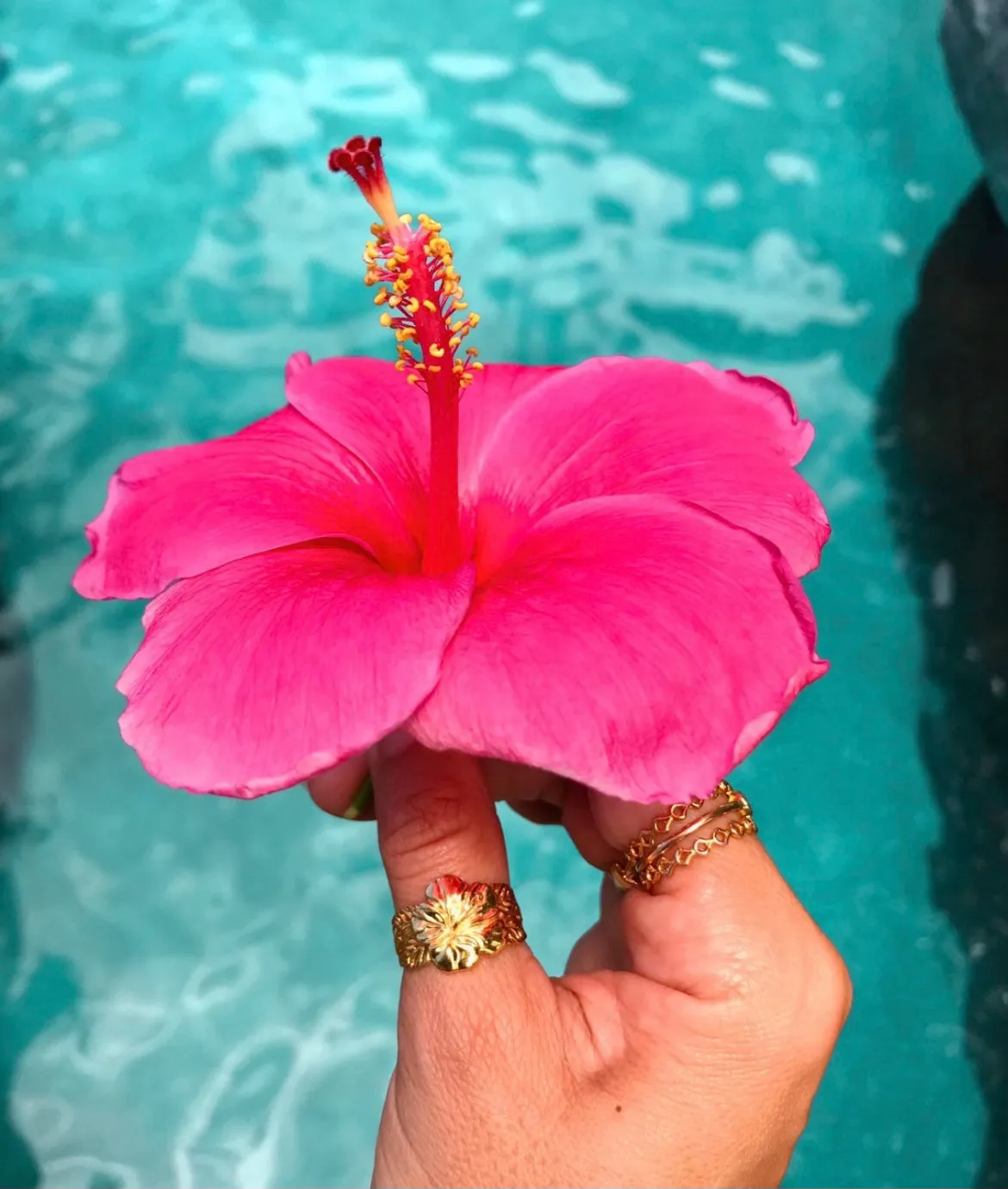 Hali'a Hibiscus Ring