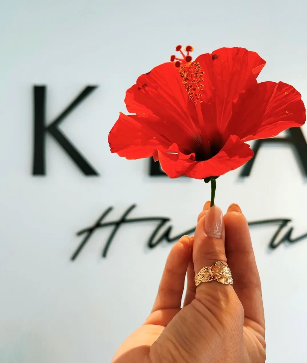 Hali'a Hibiscus Ring