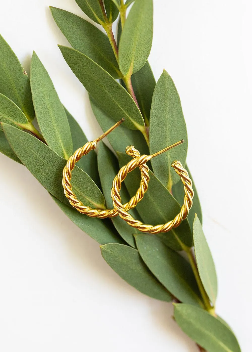 Petite Twisted Hoop Earrings | Gold