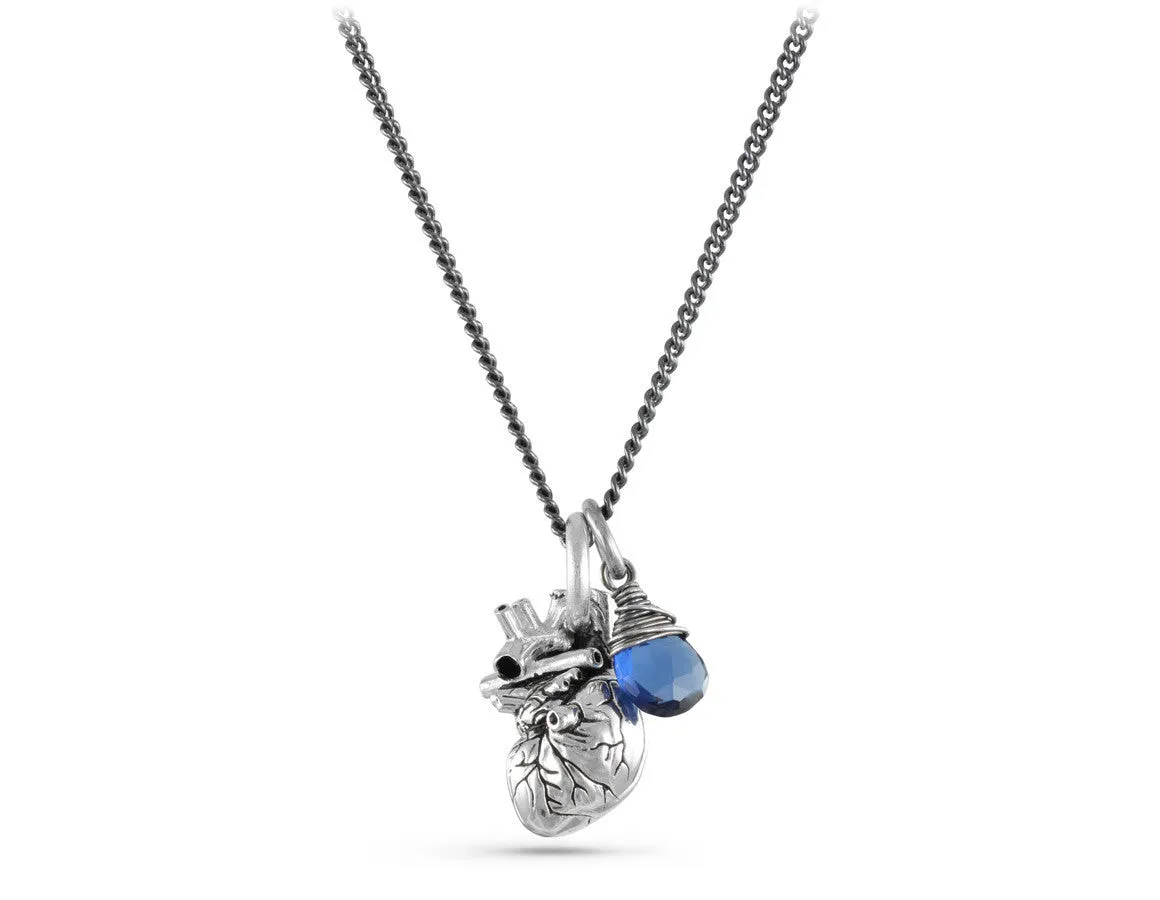 Small Anatomical Heart Necklace with Sapphire - Silver