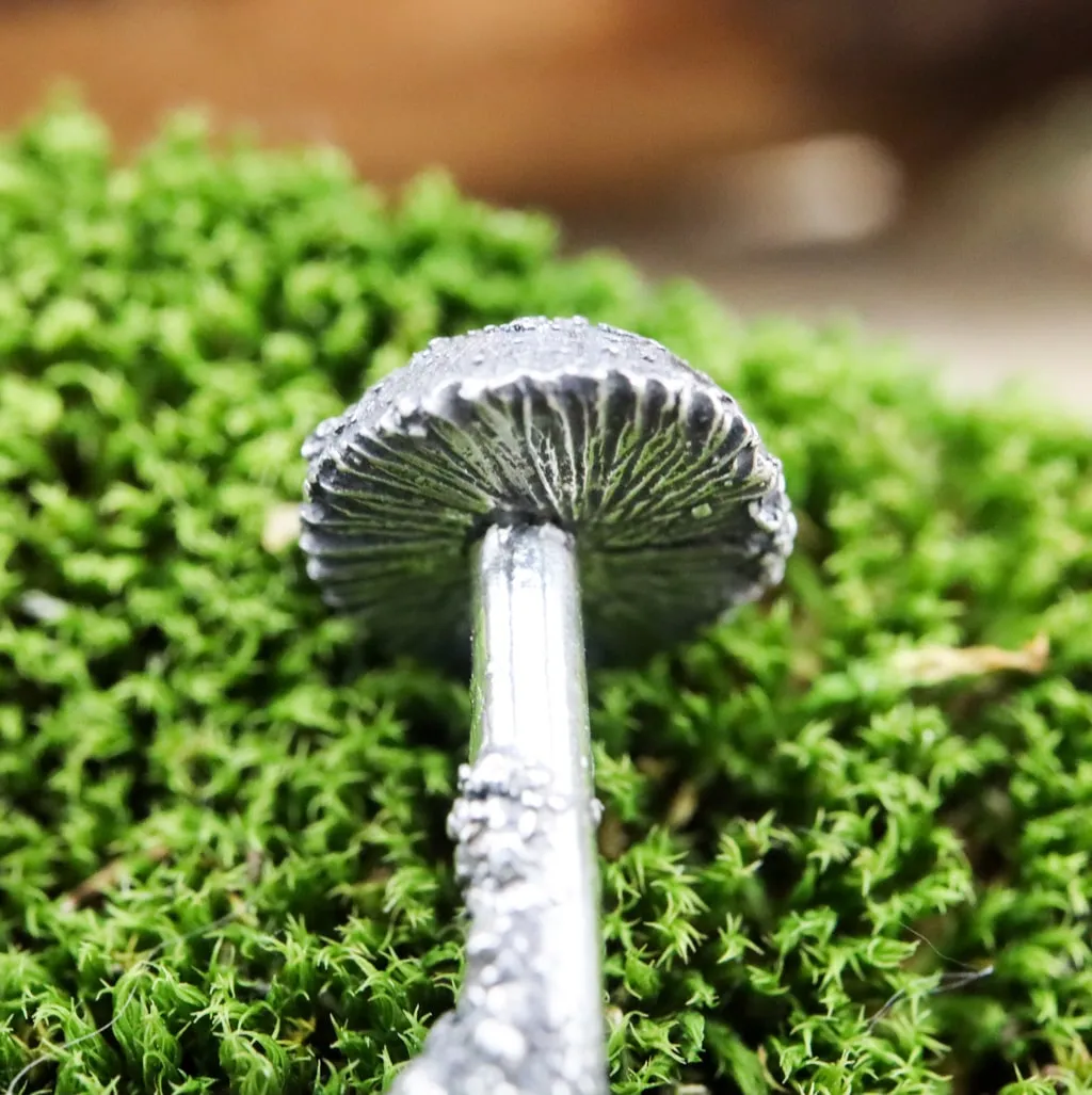 Tiny Mushroom Jewelry Set